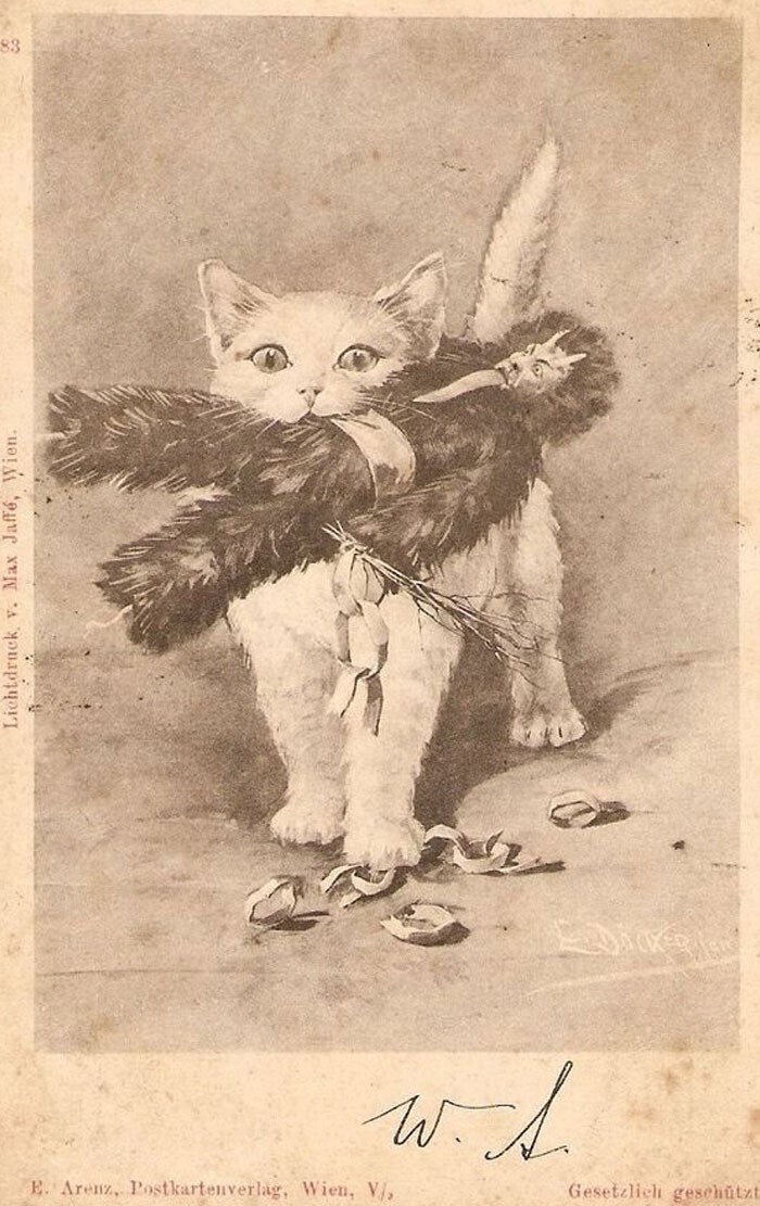 Macka a krampus